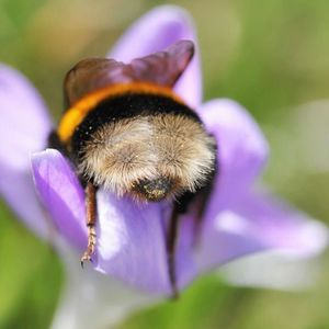 Meet your Posher, Reilly